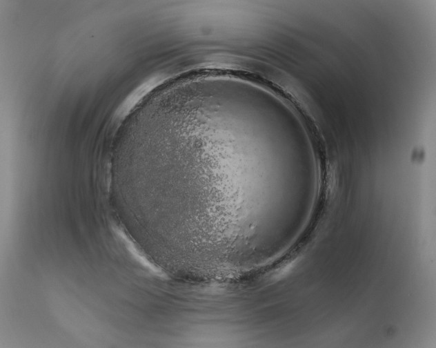 X0000111930829200907271311