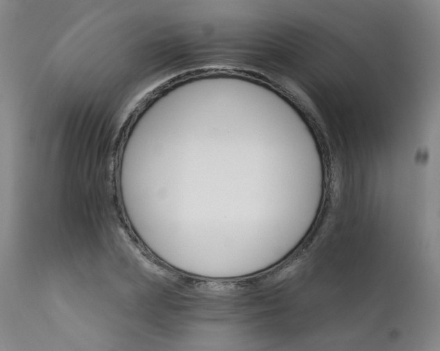 X0000111930831200907271311