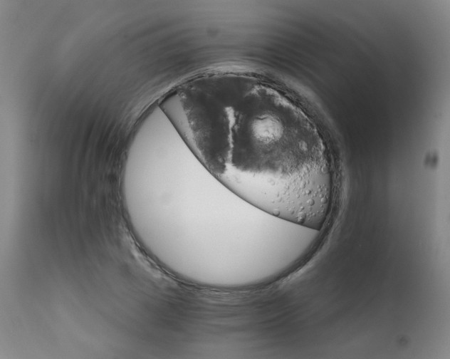 X0000111930833200907271311