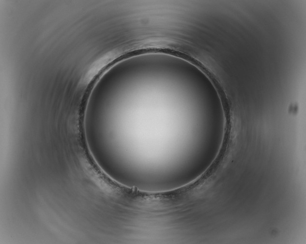 X0000111930834200907271311