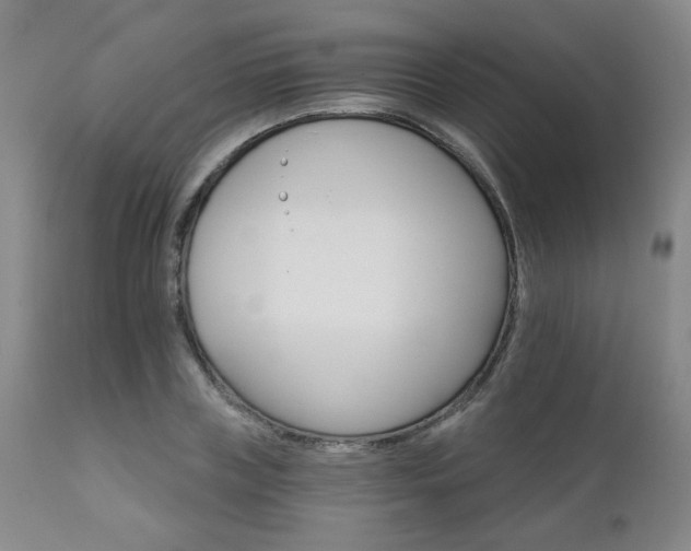 X0000111930835200907271311