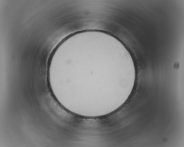X0000111930836200907271311