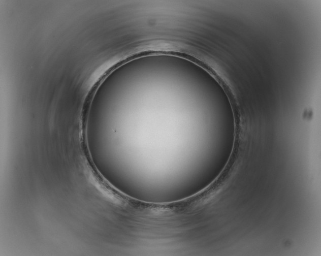 X0000111930837200907271311