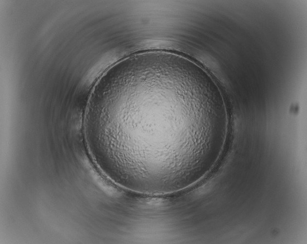 X0000111930841200907271311