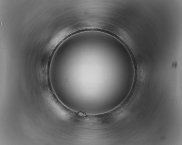X0000111930842200907271311