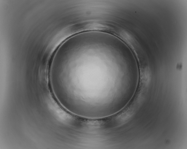 X0000111930843200907271311
