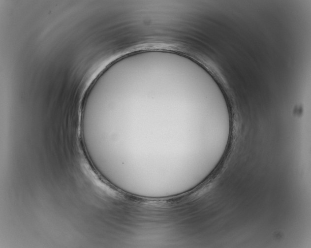 X0000111930844200907271311