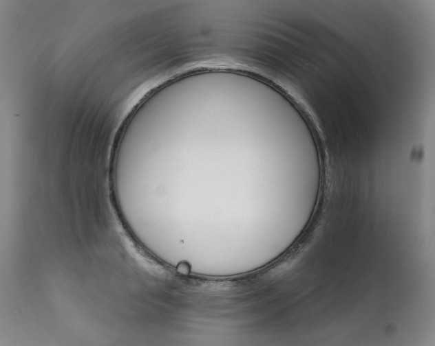 X0000111930845200907271311