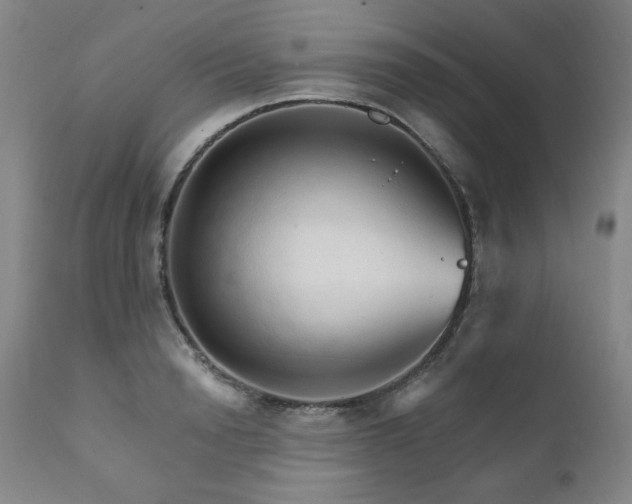 X0000111930846200907271311