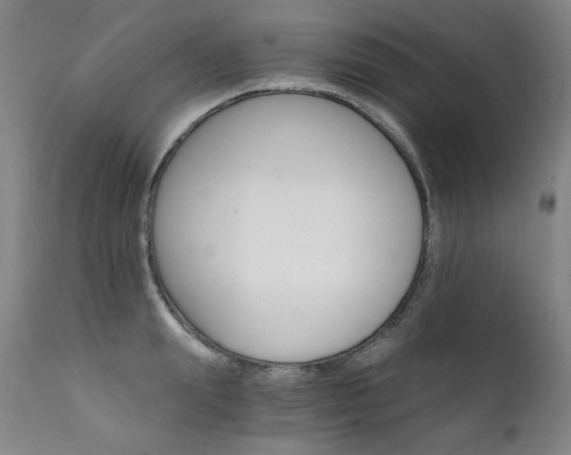 X0000111930847200907271311