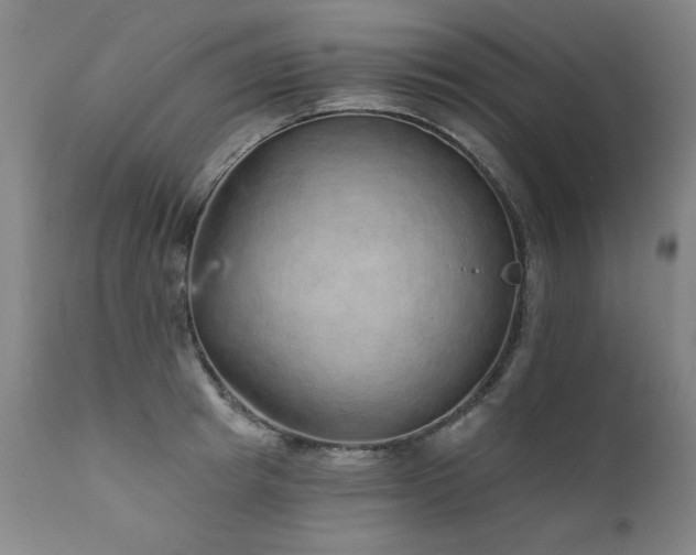 X0000111930849200907271311