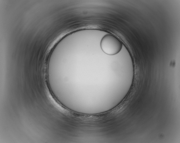 X0000111930851200907271311