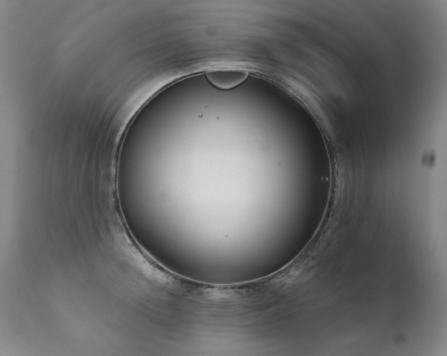 X0000111930852200907271311