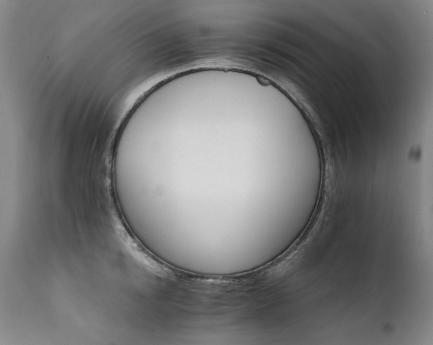 X0000111930854200907271311