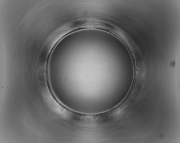 X0000111930855200907271312