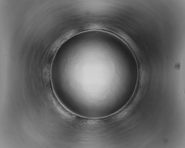 X0000111930857200907271312