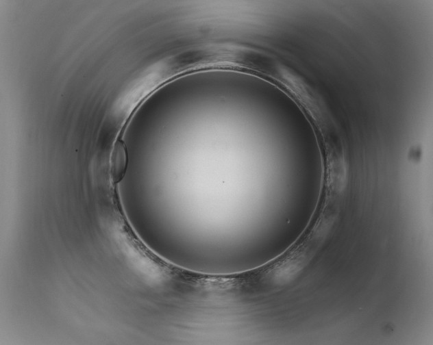 X0000111930858200907271312