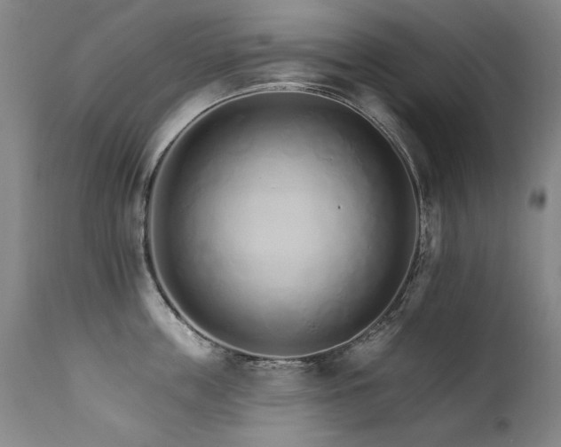 X0000111930859200907271312
