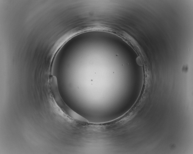 X0000111930860200907271312