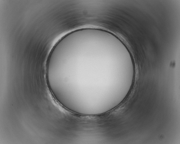 X0000111930862200907271312