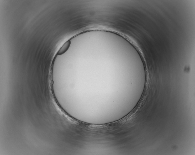 X0000111930863200907271312