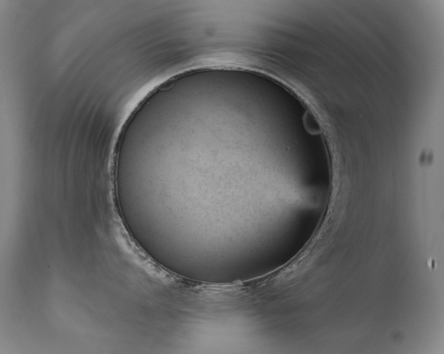 X0000111930864200907271312