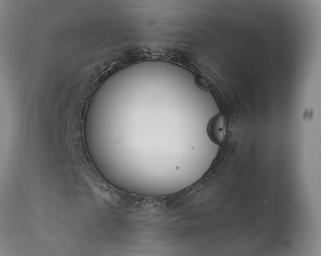 X0000111930865200907271311