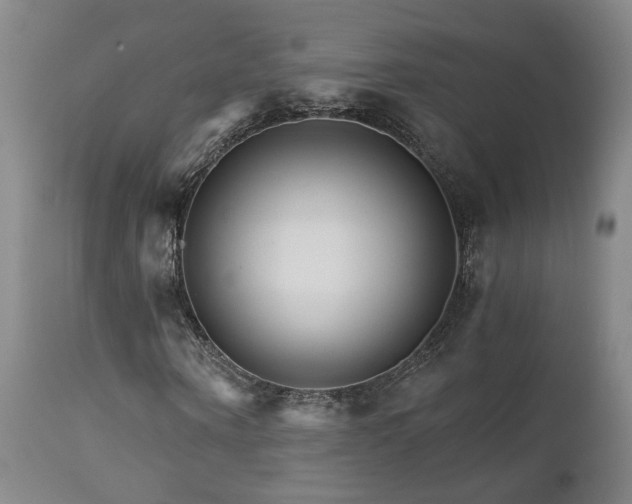 X0000111930866200907271311