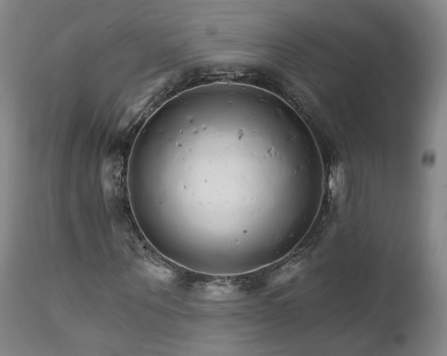 X0000111930867200907271311