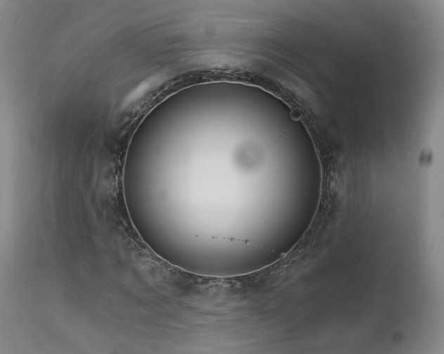 X0000111930869200907271311