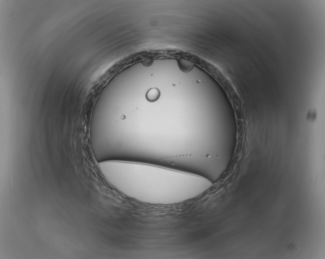X0000111930871200907271311