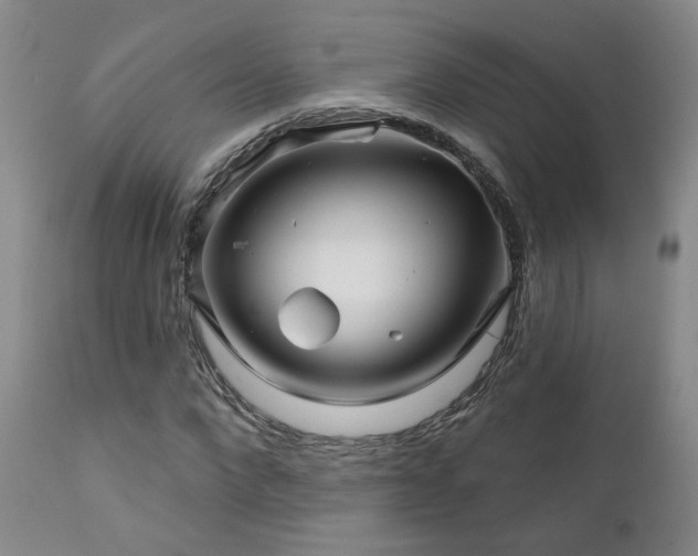 X0000111930872200907271311