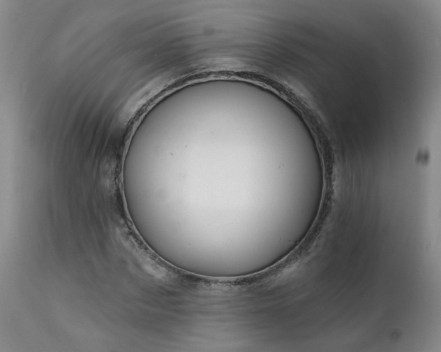 X0000111930873200907271311