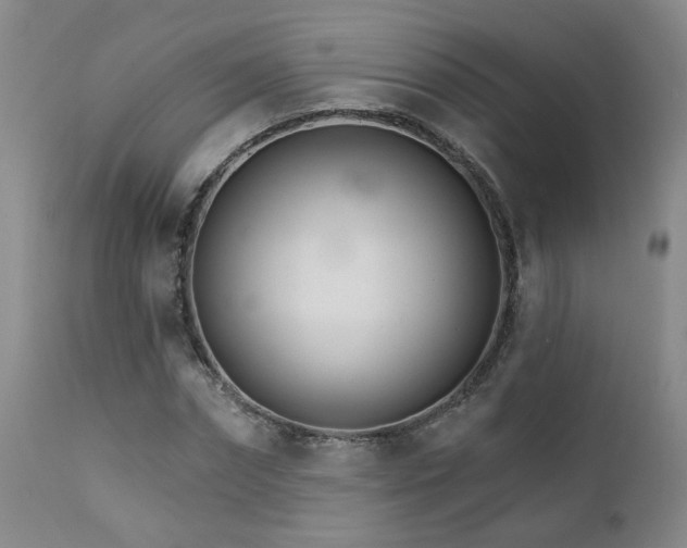 X0000111930874200907271311