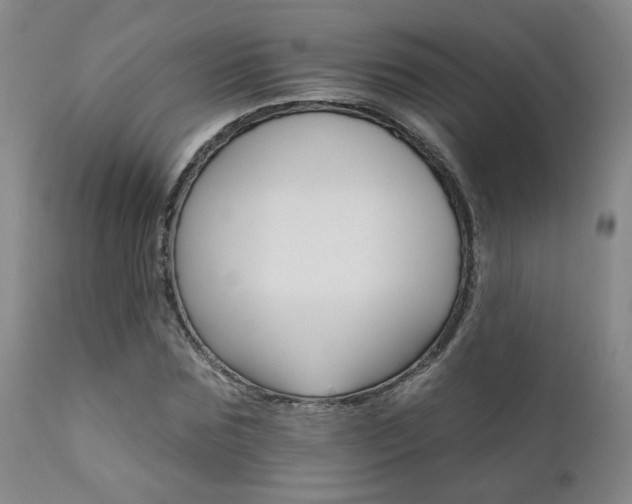 X0000111930875200907271311