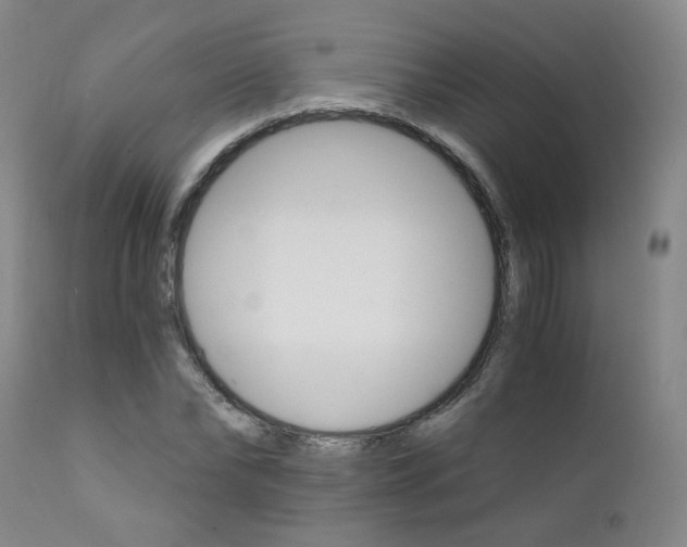 X0000111930878200907271311