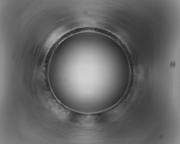 X0000111930879200907271311