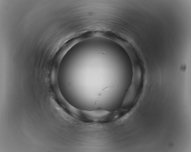 X0000111930881200907271311