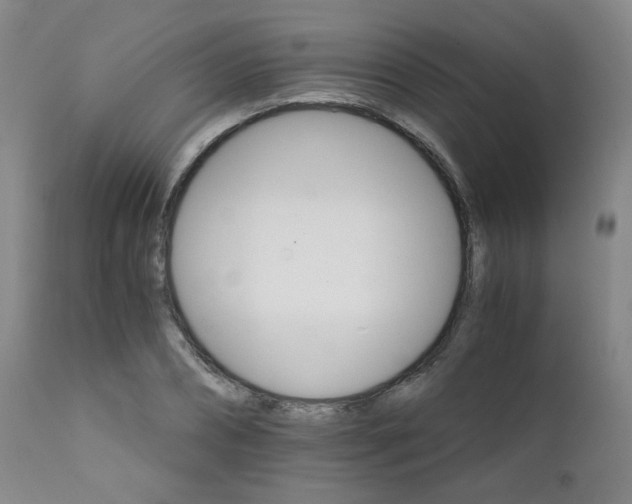 X0000111930882200907271311