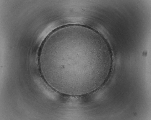 X0000111930883200907271311