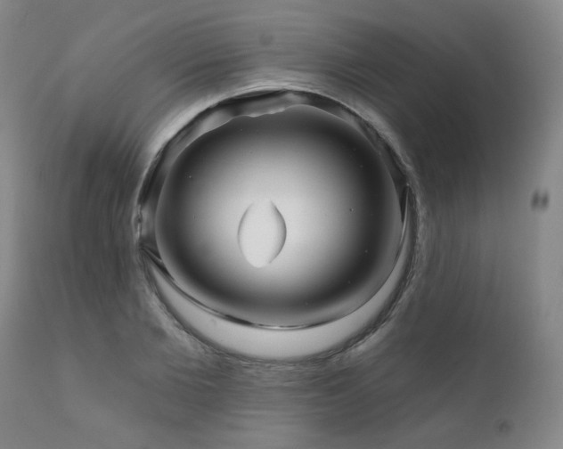 X0000111930885200907271311