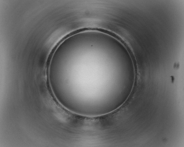 X0000111930887200907271311