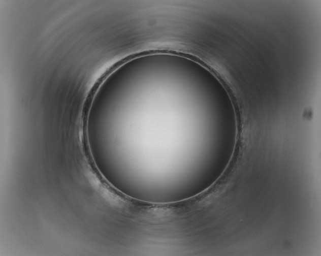 X0000111930888200907271310