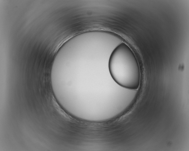 X0000111930889200907271310