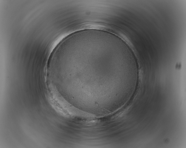 X0000111930891200907271310
