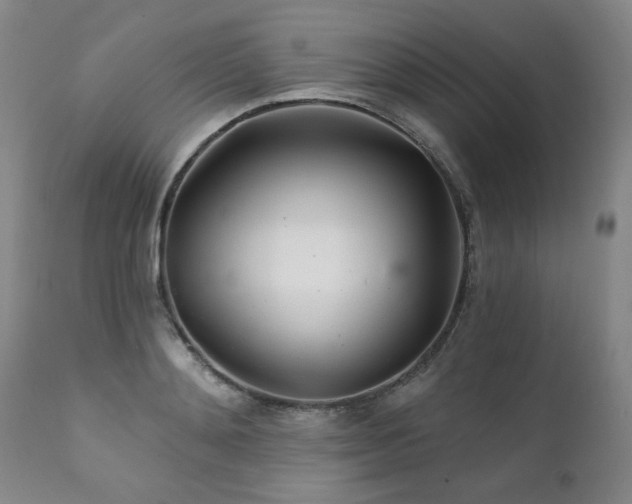 X0000111930892200907271310