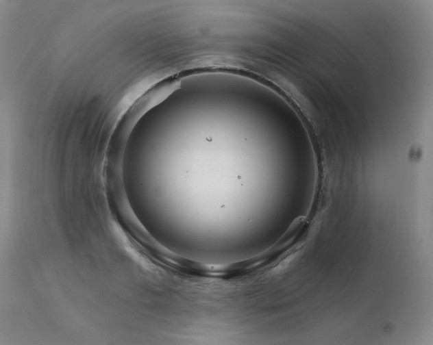 X0000111930893200907271310