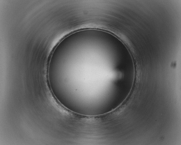 X0000111930896200907271310