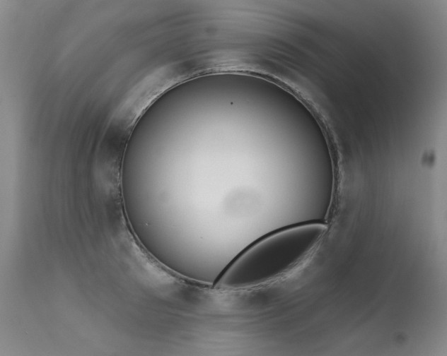 X0000111930897200907271310