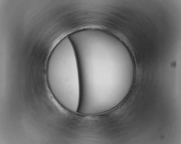 X0000111930898200907271310